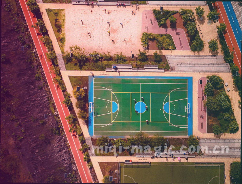 共享册页与编号对照标记的图形